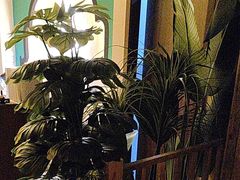 -泰迦·正宗泰式按摩SPA(东城店)