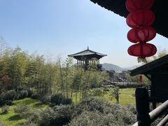 -大唐贡茶院