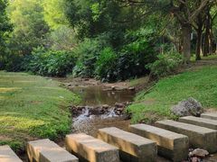 -东莞市大岭山森林公园