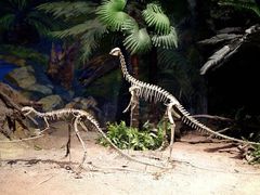 -自贡恐龙博物馆