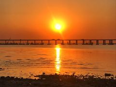 -宝安西湾红树林湿地公园