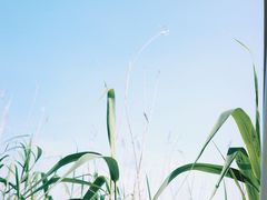 -亮河湾山庄
