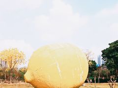 -顺峰山公园