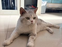 -纳吉亚猫专科动物医院博雅分院