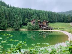 -武陵山森林公园