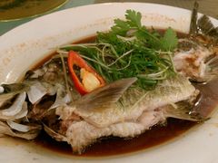 青竹鱼-新庆嫂渔港