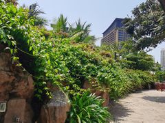 -亚马逊丛林水乐园