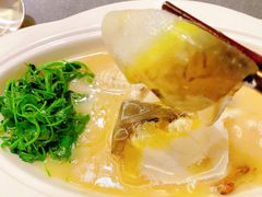 -沈灶河豚宴·河豚融合餐厅(汉中路店)