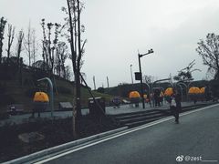 -枫香湖儿童公园