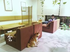 -柴务处·柴犬主题狗咖