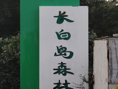 -长白岛森林公园