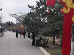 -青岛中山公园-索道售票处
