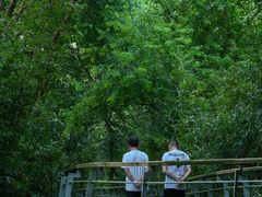 -西湖风景区-江洋畈生态公园