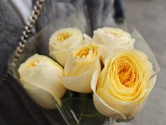 -循礼门鲜花花市(武汉循礼门店)