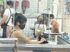 -贝贝宠物乐园(常青花园店)