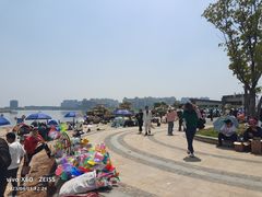 -九龙湖公园