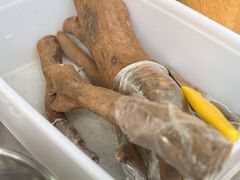 -金塔傣乡·云南民族特色菜·傣味手抓饭(金瓦路店)