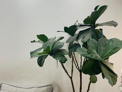 -娜娜家·Nana's patisserie(和平大悦城店)