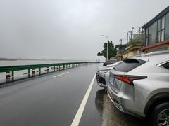 -八仔大富楼·河鲜(西江店)