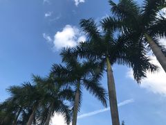 -海底捞火锅(奥体南路店)