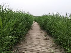 -野鸭湖国家湿地公园