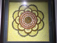 -上海昆虫博物馆