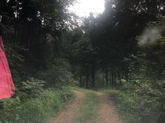 -素山寺森林公园