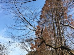 -法云古村