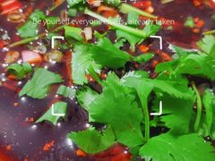 -汝萍传统蘸水菜(春华路总店)