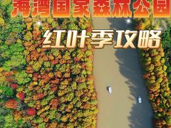 -上海海湾国家森林公园