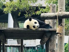 -大连森林动物园