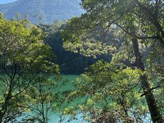 -广州市流溪河国家森林公园