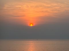 -星光岛