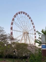 -摩瘦纤体订制减肥