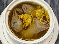 -鸽鸟轩(石岐店)