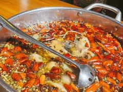 水煮鲶鱼-望京一号·重庆江湖菜(工体店)