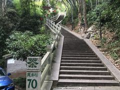 -龙井村
