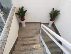 -形象公社