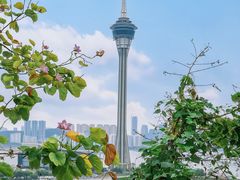 -主教山小堂