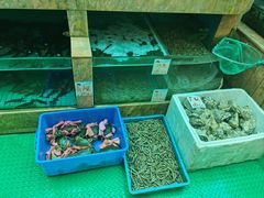 -外沙疍家棚酒楼