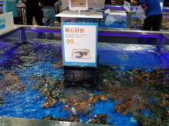 -盒马X会员店(王府井奥莱UP TOWN店)