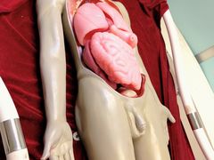 -陕西自然博物馆