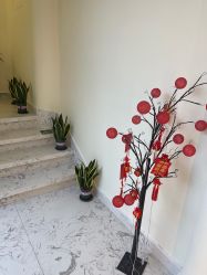 -海涛医疗美容·面部抗衰·注射美鼻