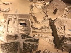 -洛阳周王城天子驾六博物馆