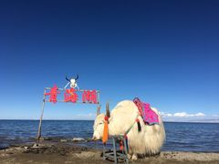 -青海湖国家重点风景名胜区