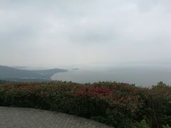 -雨花胜境
