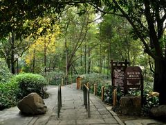 -成都市活水公园