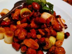 宫保鸡丁-董鲁烤鸭(建和街店)