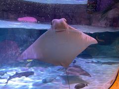 -沈阳海洋探索中心