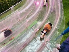 -正佳雨林生态植物园
